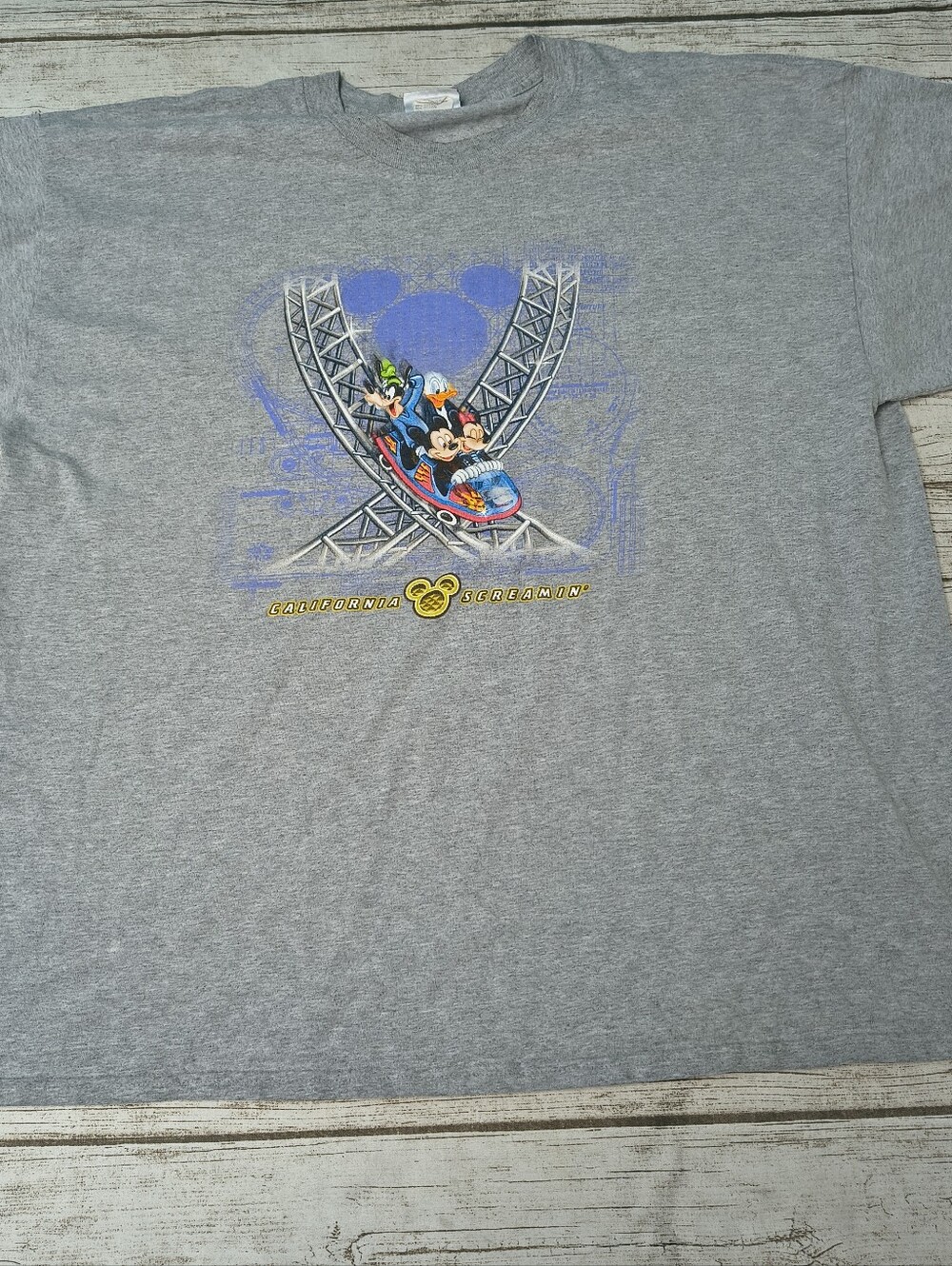 Vintage Disney California Screamin Rollercoaster Souvenir T Shirt Size XXL